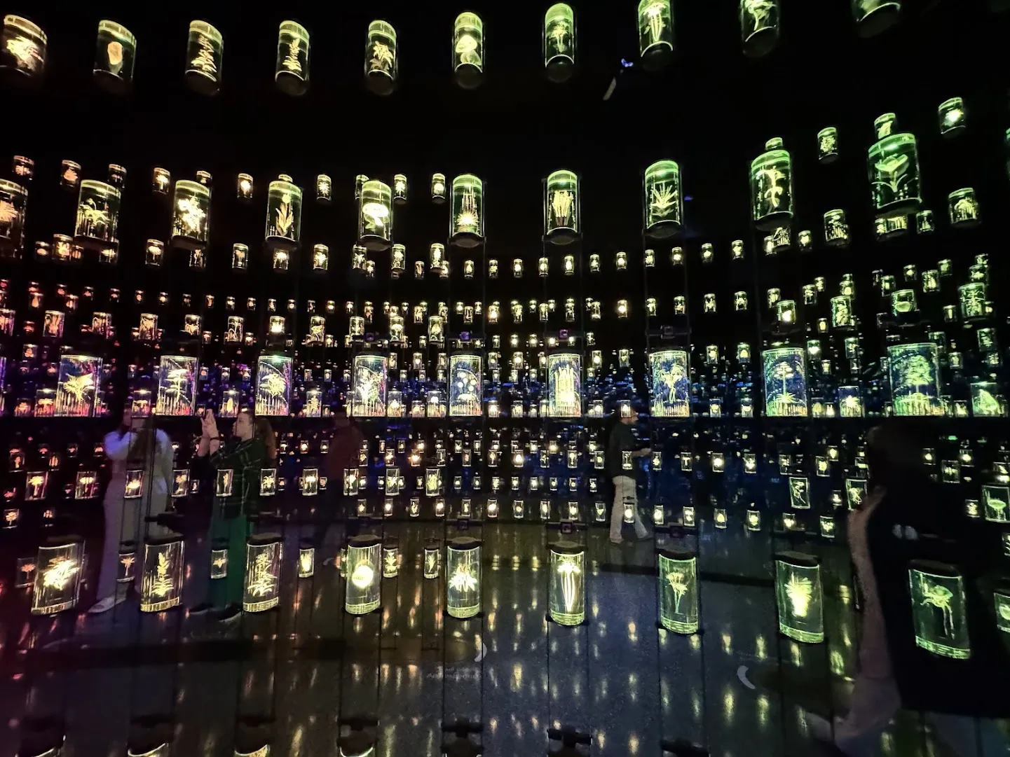 Abgedunkelter Ausstellungsraum im Museum of the Future: eine raumhohe Wand aus beleuchteten Glaszylindern mit digitalisierten Pflanzen in Grün, Gelb und Blau, die sich im spiegelnden Boden fortsetzt; davor einzelne Besucher