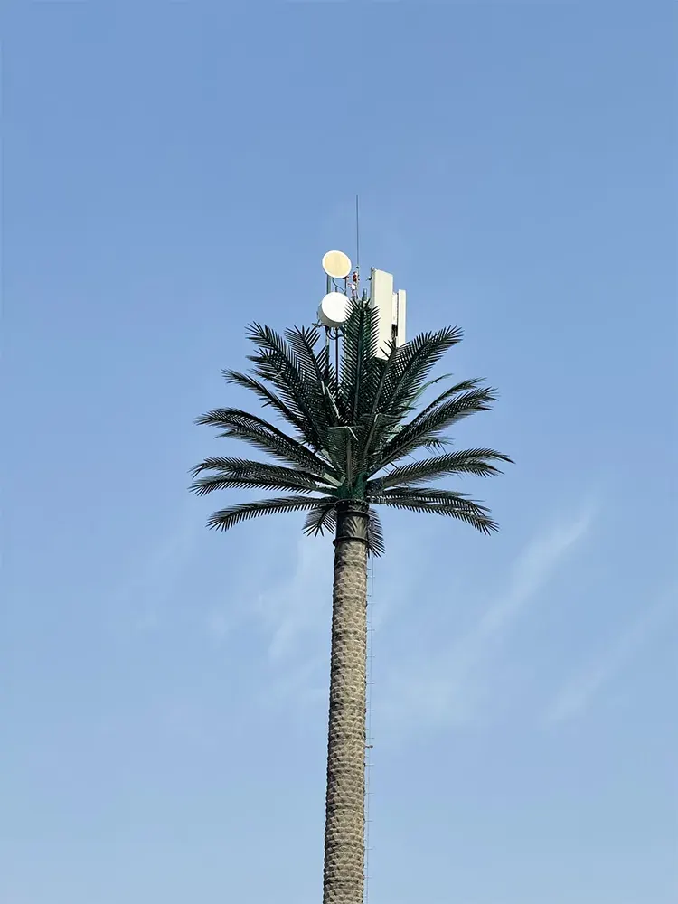 Internet in Dubai