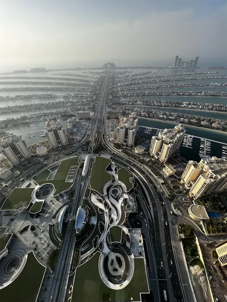 Palm View