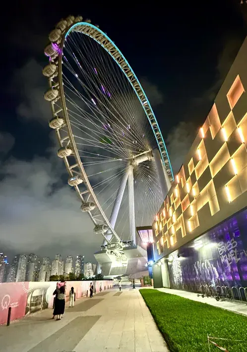 Ain Dubai im Dunklen